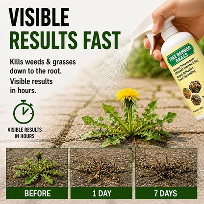 🔥Last Day Promotion 50% OFF🔥2026 Fast-Acting Natural Weed & Grass Killer Spray