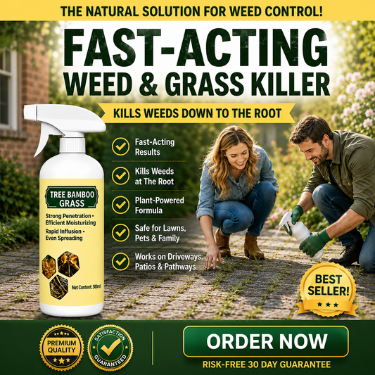 🔥Last Day Promotion 50% OFF🔥2026 Fast-Acting Natural Weed & Grass Killer Spray