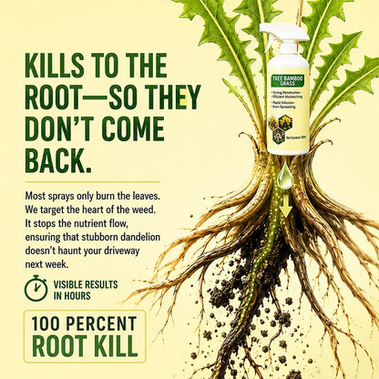 🔥Last Day Promotion 50% OFF🔥2026 Fast-Acting Natural Weed & Grass Killer Spray